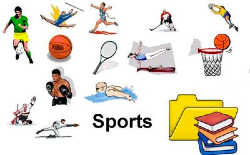 Mm Sports 42
